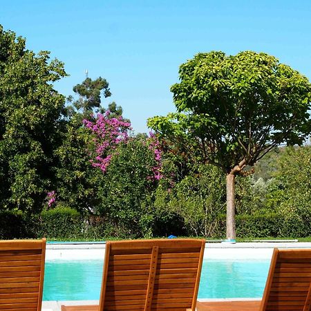 Quinta Dos Ribeiros Guest House Alpalhao  Bagian luar foto