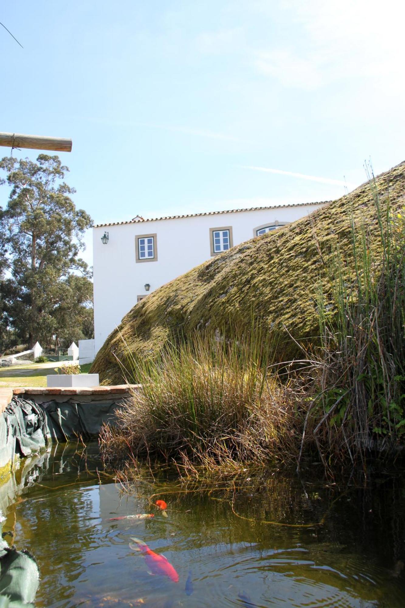 Quinta Dos Ribeiros Guest House Alpalhao  Ruang foto